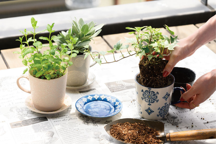 底穴付きで直接観葉植物を植え込めます