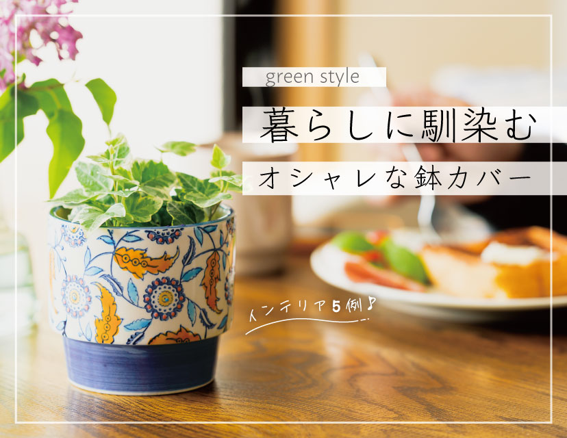 花屋 フラワー 観葉植物 生花 園芸 ガーデニング ギフト ラッピング用品 包装資材通販 Heads ヘッズ 花屋 フラワー 観葉植物 生花 園芸 ガーデニング ギフト ラッピング用品 包装資材通販 Heads ヘッズ