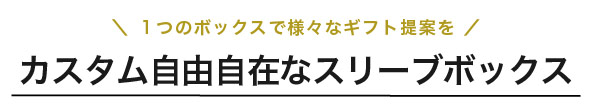 カスタム自由なスリーブボックス