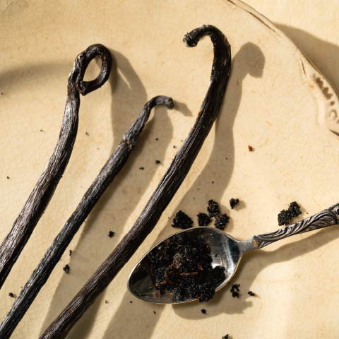 新商品情報：2025.09.10発売　秋の店舗装飾