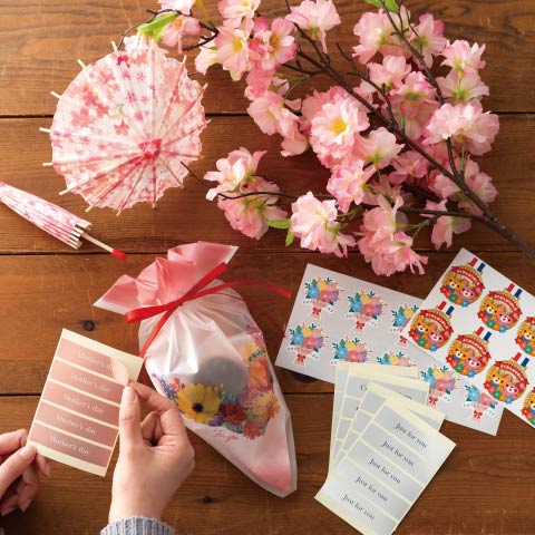 新商品情報：2026.01.14発売