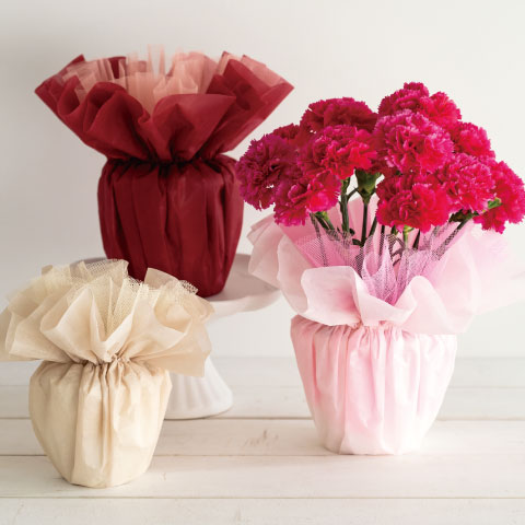 新商品情報:2026.02.04発売 鉢カバー