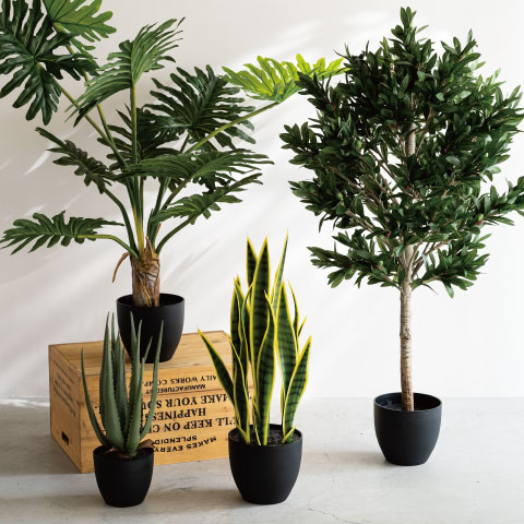 新商品情報：2026.04.08発売　夏＆通年店舗装飾アイテム