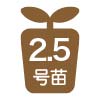 2.5号苗