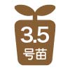 3.5号苗