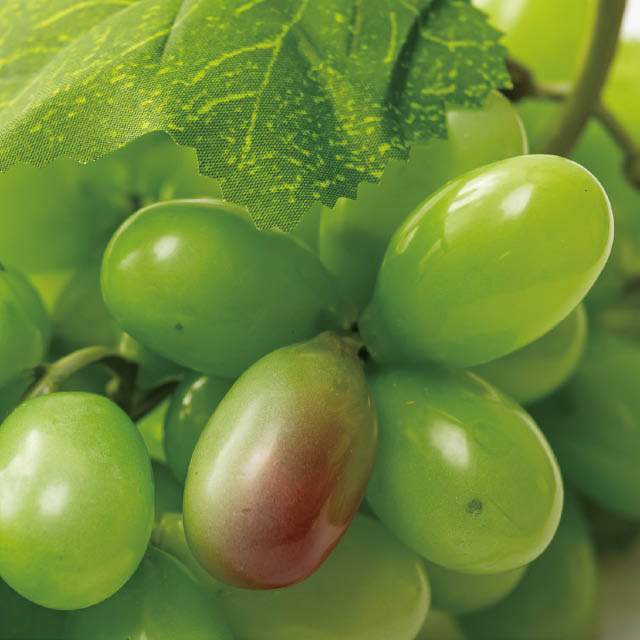 デコレーションフード-7/グリーングレープ W90×D90×H280(グリーングレープ)