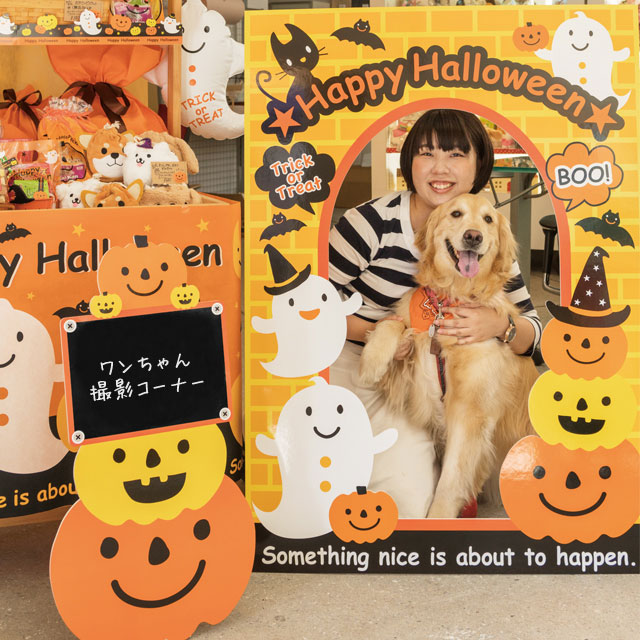 ハロウィン顔だしパネル 1 店舗装飾 什器 ギフト ラッピング用品 包装資材通販 Heads ヘッズ