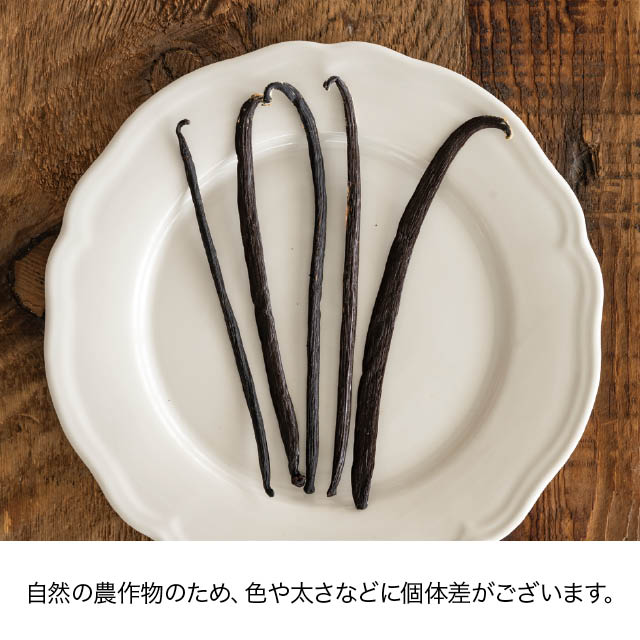 インドネシア産バニラビーンズ-10 10本入 W120×D5×H280