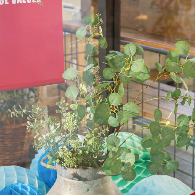 デコレーショングリーンスプレー-1 W200×H1070