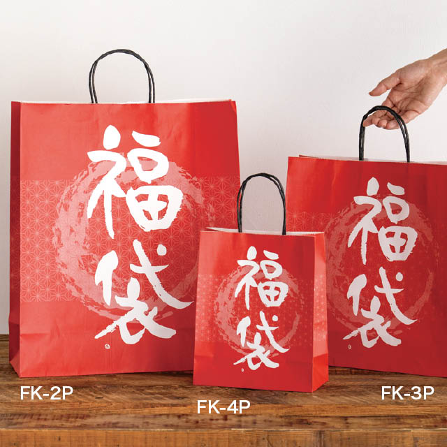 福袋ペーパーバッグ-4 W200×D100×H250