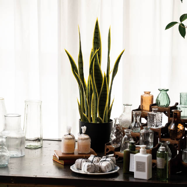 インテリアフェイクグリーン-3/サンセベリア W310×D310×H690