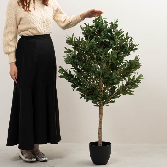 インテリアフェイクグリーン-5/オリーブ W580×D640×H1150