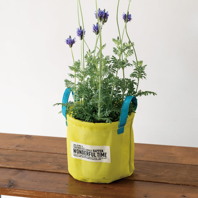 メッシュラウンドバスケットM-7/イエロー イエロー 直径160×H150