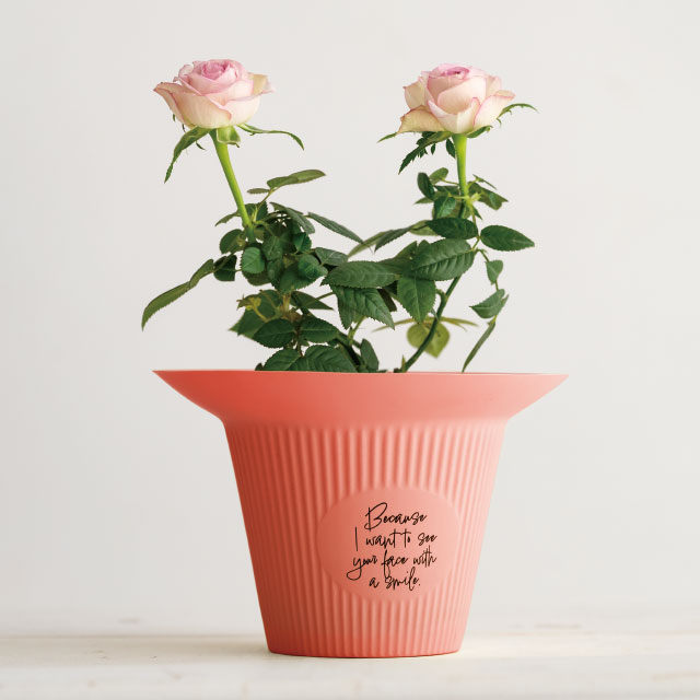 リブラインフラワーポット-3/マットピンク マットピンク 直径145(65)×H100