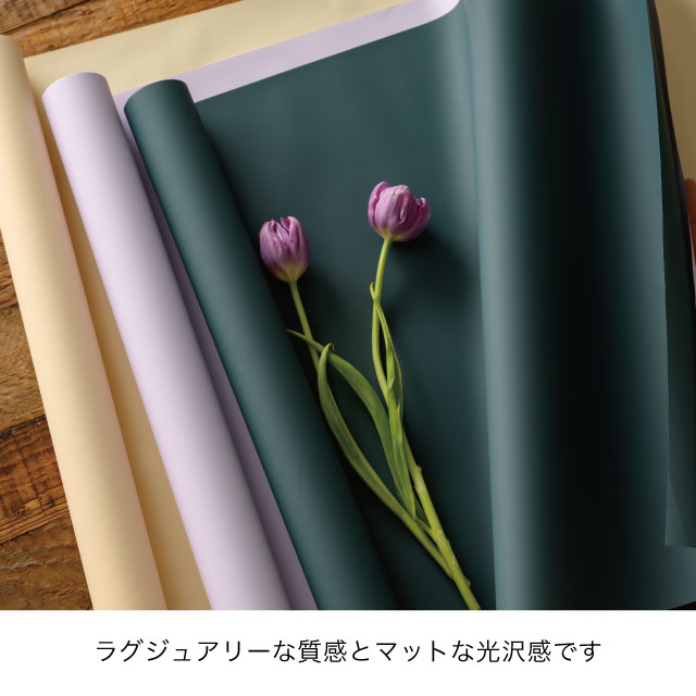 ラッピングカラーPPロール-35/パープル パープル 50cm幅