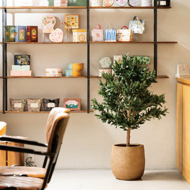 インテリアフェイクグリーン-5/オリーブ W580×D640×H1150