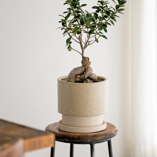 ハンドメイドアートフラワーポット-33 直径195(155)×H185(5寸)