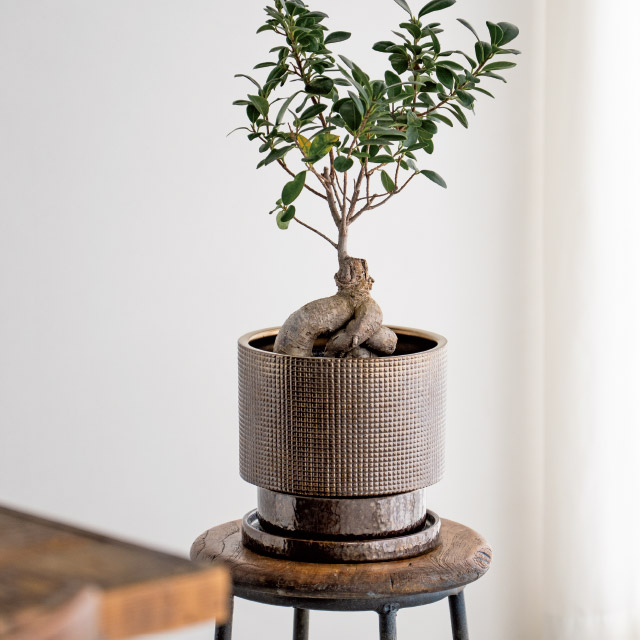 ハンドメイドアートフラワーポット-35 直径195(155)×H185(5寸)