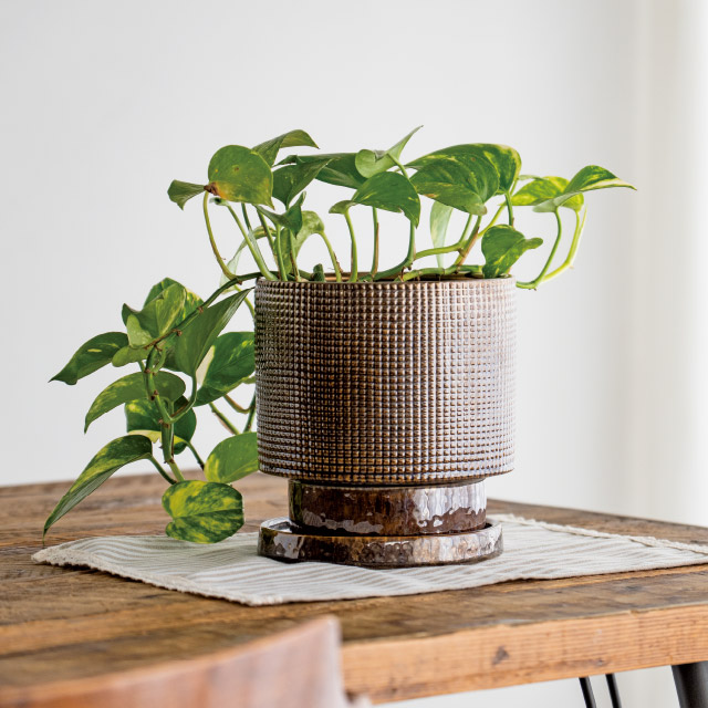 ハンドメイドアートフラワーポット-36 直径155(115)×H160(4寸)