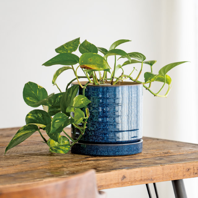 ハンドメイドアートフラワーポット-38 直径150(130)×H135(4寸)