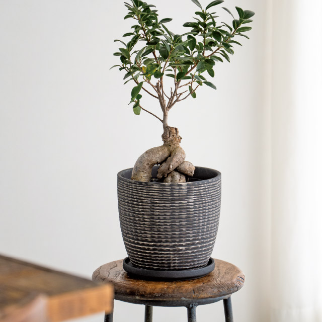 ハンドメイドアートフラワーポット-39 直径195(155)×H180(5寸)