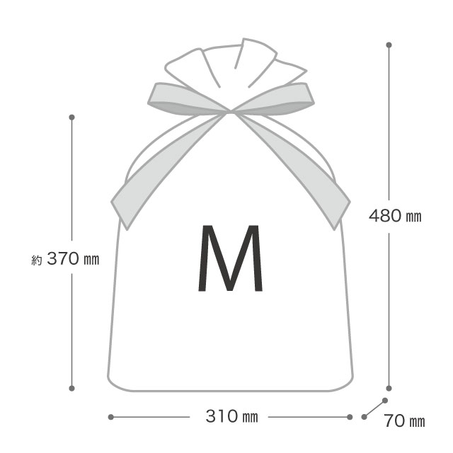 レースリボン付PEギフトバッグ-M(W310×H480×D70): ラッピング袋