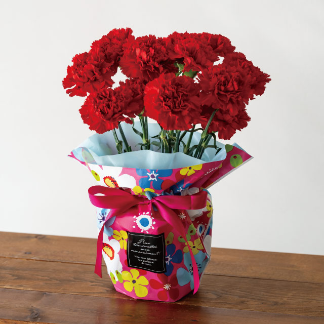 ポップフラワーリボン付ポットカバー-5【3/3発売予定】 W410(205)×D120×H265