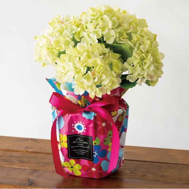 ポップフラワーリボン付ポットカバー-6【3/3発売予定】 W460(250)×D140×H300