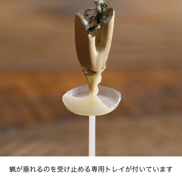 シャインエイジナンバーキャンドル-9/ゴールド 9:W12×D8×H50(全長108)