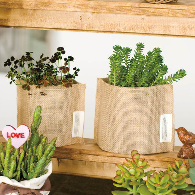 バラエティポット/ジュート-S W155×D80×H105(3号)