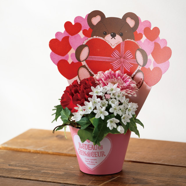 ハートフルベアアレンジカバーポット-1 ピンク W218(70)×D95×H252