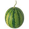 直径145×H235(スイカ)