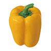 直径65×H95(イエローパプリカ)