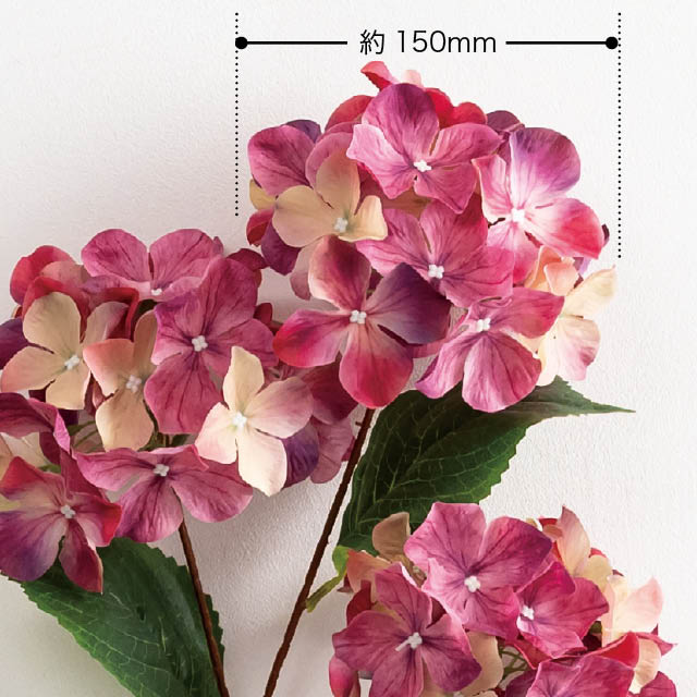 あじさいデコレーションスプレー-2/モーブ モーブ W260×H860