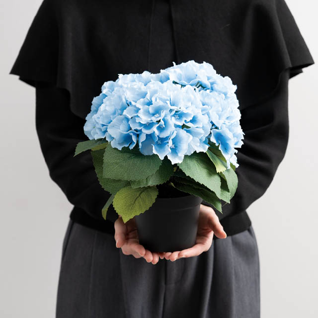あじさいデコレーション-1/ブルー W250×D250×H280