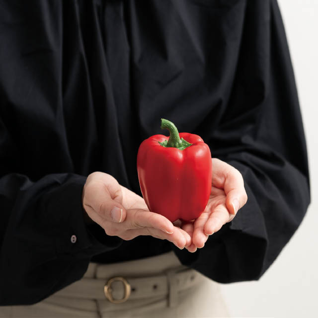 デコレーションフード-15/レッドパプリカ 直径65×H95(レッドパプリカ)