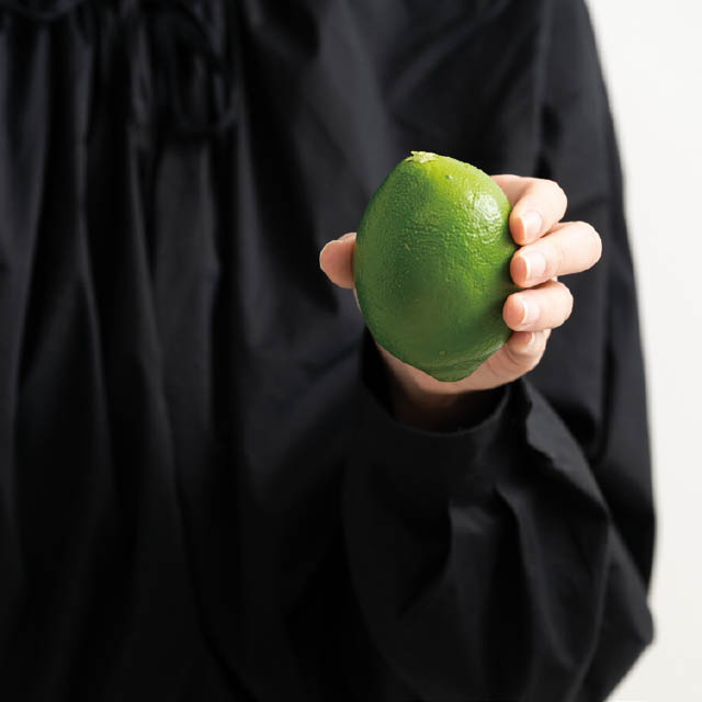 デコレーションフード-2/グリーンレモン 直径55×H80(グリーンレモン)