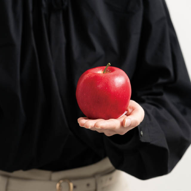 デコレーションフード-3/アップル 直径80×H80(アップル)