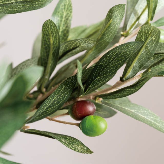 インテリアフェイクグリーン-5/オリーブ W580×D640×H1150