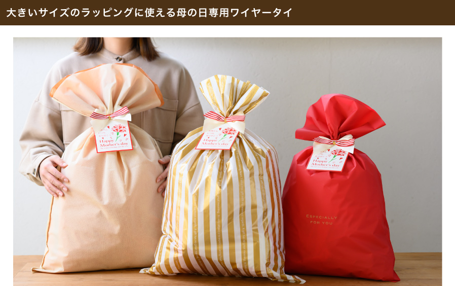 カーネーションデザインが華やかな母の日専用ワイヤータイです。リュックサックやクッション、キッチン家電などの大きいサイズのギフトに使えます。存在感がある大きさだから1枚使えばギフトのカオができ、母の日のラッピングにボリュームが出ます。