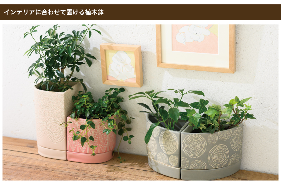 壁に沿って置いたり、ブックエンドとして使ったり、他の植木鉢と組み合わせたりと、お部屋で色々な飾り方ができる新しいタイプの植木鉢です。