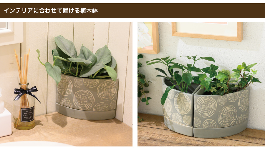 壁に沿って置いたり、ブックエンドとして使ったり、他の植木鉢と組み合わせたりと、お部屋に飾る時に色々な飾り方ができる新しいタイプの植木鉢です。コーナーに置いても可愛くておすすめです。