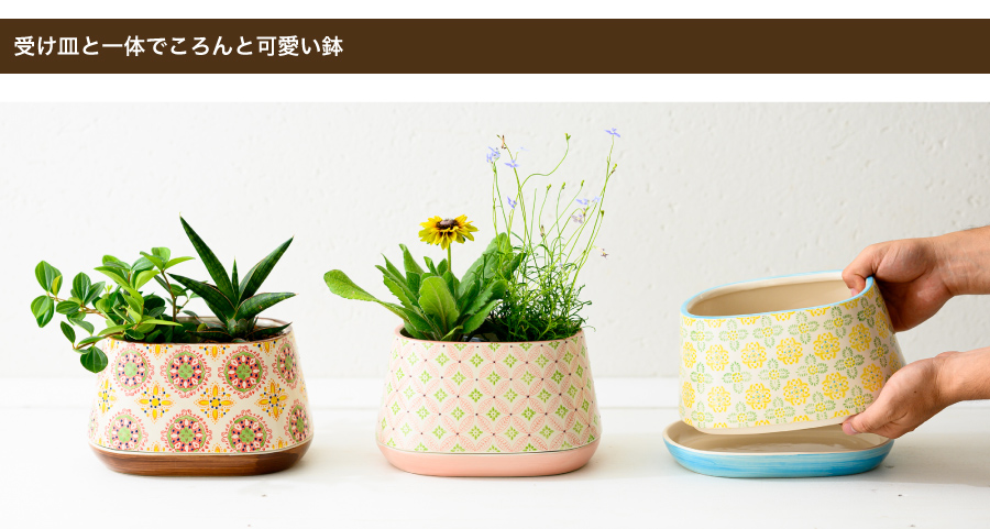 インテリアにもマッチしやすい。コロンとしたかわいいフォルムがこだわりポイントです。また、底穴付きの鉢なので、植え込み等もしていただけます。