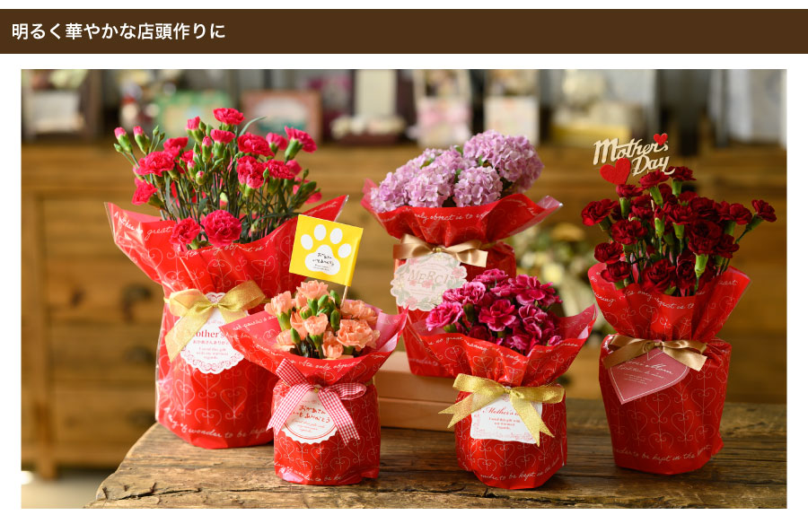 真っ赤なデザインが印象的なOPPのポットカバーなら、母の日の店頭が一段と華やかになります。別売りのゴムタッグを付けるとギフトが感アップします。