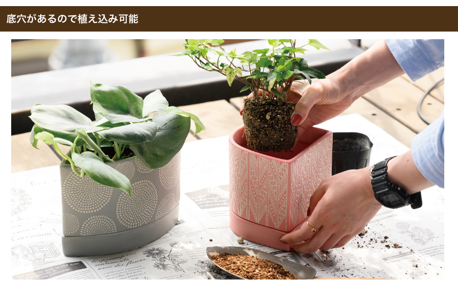 鉢底に穴が空いているので、直接植物を植え込むことができます。