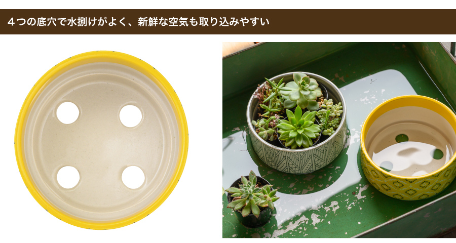 底穴が４つあるので、水捌けがよく、新鮮な空気もしっかり取り込みます。また底面給水をする際にもしっかりと水を吸い込むのがポイント！水捌けが重要な多肉植物やサボテン、コーデックスなどにもおすすめの植木鉢です。