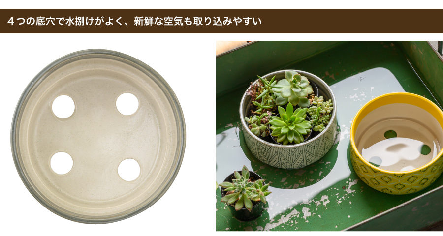 底穴が4つあるので、水捌けがよく、新鮮な空気もしっかり取り込みます。また底面給水をする際にもしっかりと水を吸い込むのがポイント!水捌けが重要な多肉植物やサボテン、コーデックスなどにもおすすめの植木鉢です。