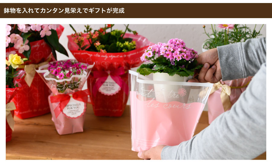OPPポットカバーならいつもの苗物が、入れるだけでかわいいギフトの顔に早変わり。素早くカンタンにラッピングを仕上げることができるので、母の日や春のイベントにオススメです。