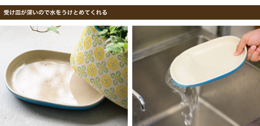 鉢底と皿の間に隙間ができるよう深めの受け皿にしました。水を注ぎすぎても溢れにくく、水捨ても簡単にできます。あまり気を使わず水やりができるのもポイントです。