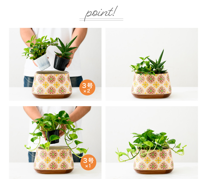 ３号苗サイズが２個入るサイズ感になっておりますが、ボリューム感のある植物であれば3号１個や３.５号が3個でも使用することができます。